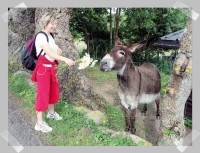 /album/galerie-photos/oui-decidement-jpg/